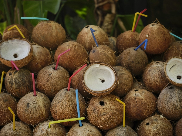 Coconut market